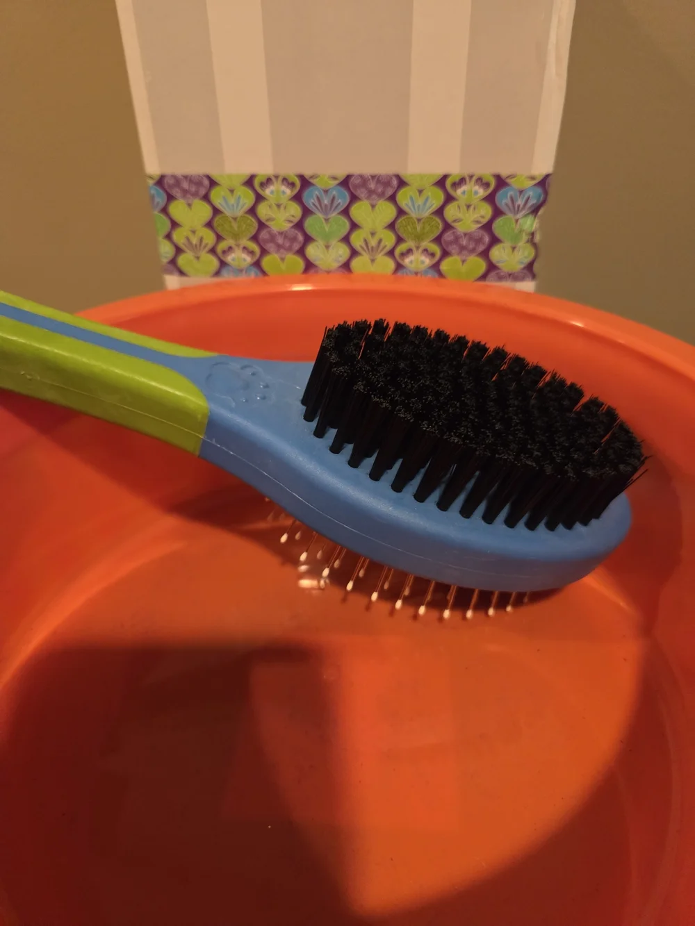 Dog Bowl & Brush